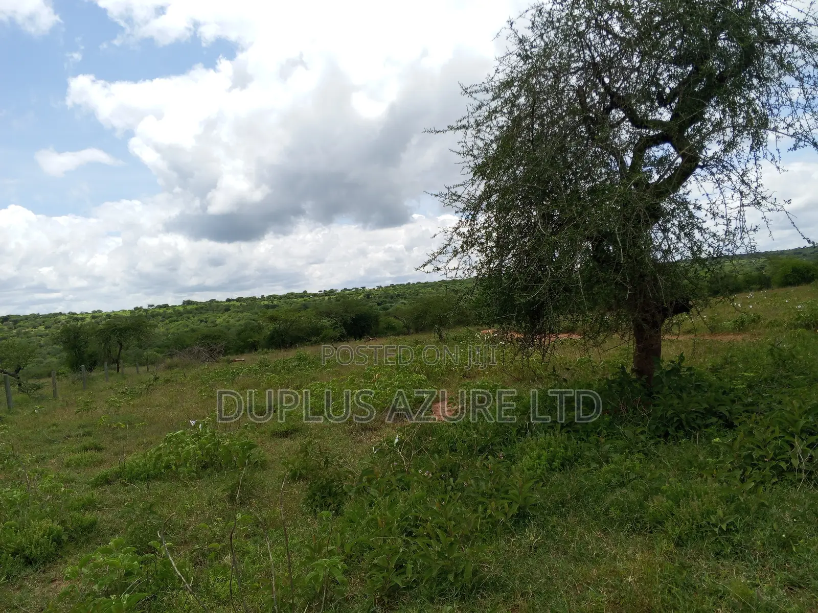 15 Acres for Sale in Kajiado in Imaroro