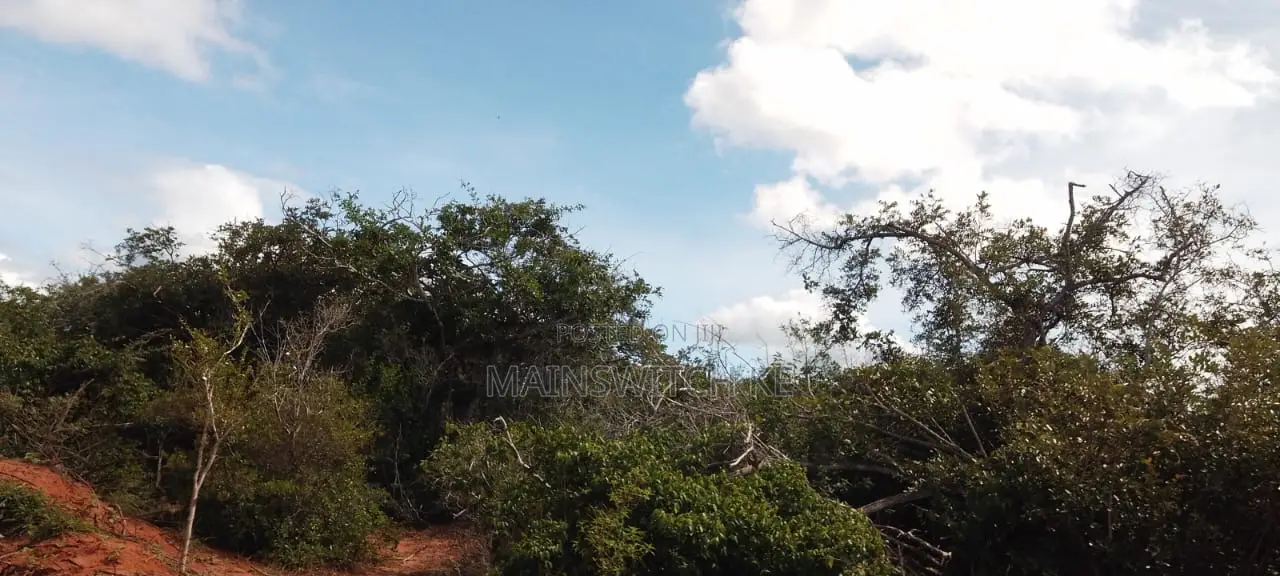 430 Acres With Adjudication Numbers for Sale in Viriko Marafa in Marafa