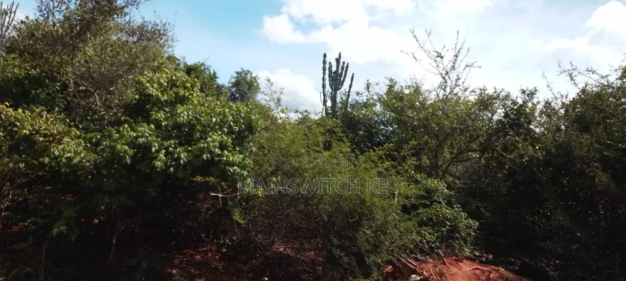 430 Acres With Adjudication Numbers for Sale in Viriko Marafa in Marafa