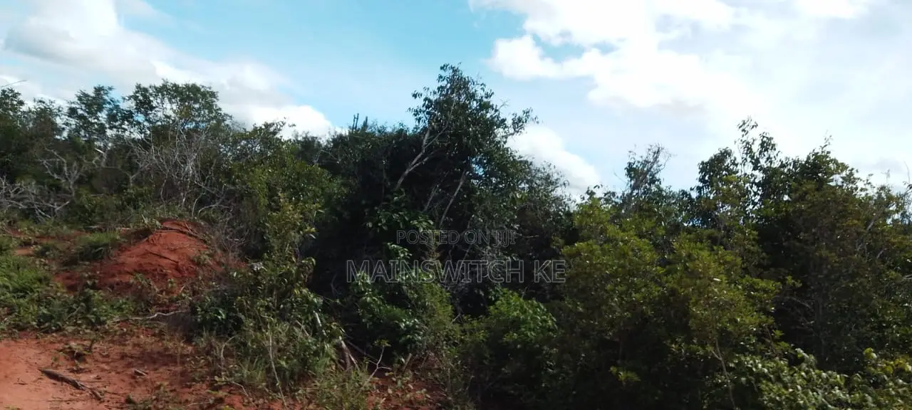 430 Acres With Adjudication Numbers for Sale in Viriko Marafa in Marafa
