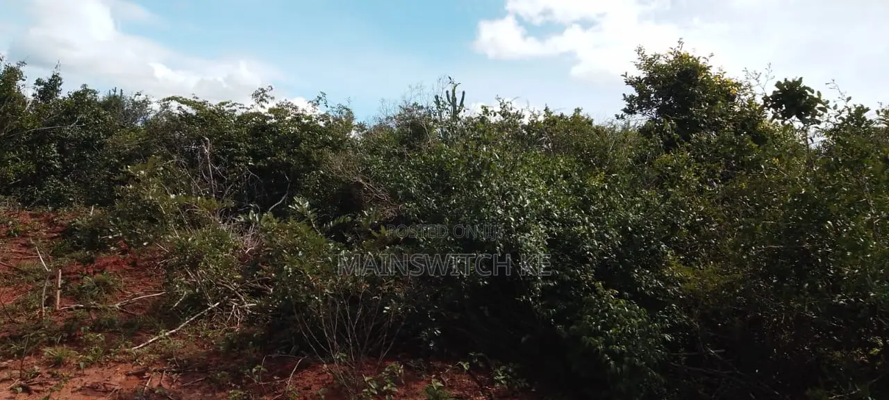430 Acres With Adjudication Numbers for Sale in Viriko Marafa in Marafa