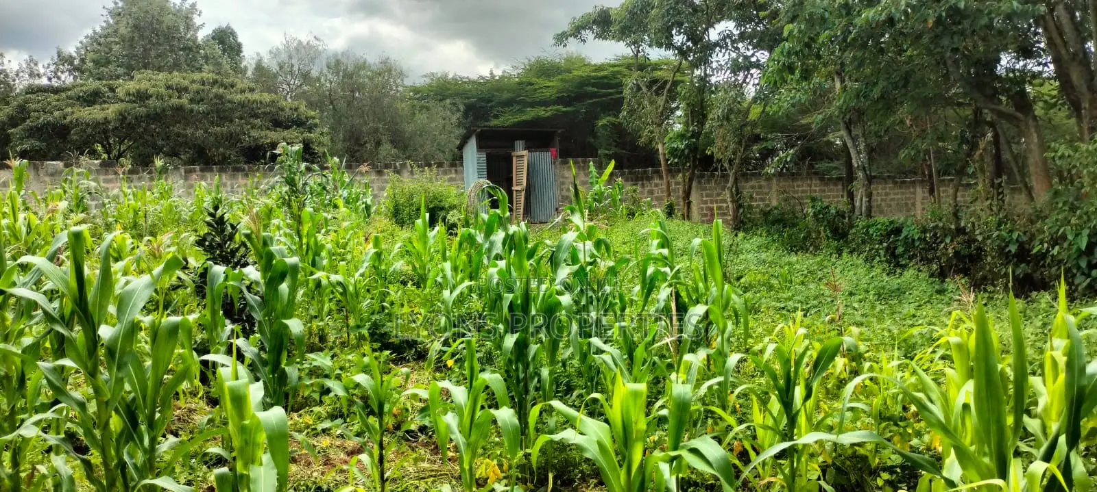 2.5 Aacre Land for Sale in Nkoroi