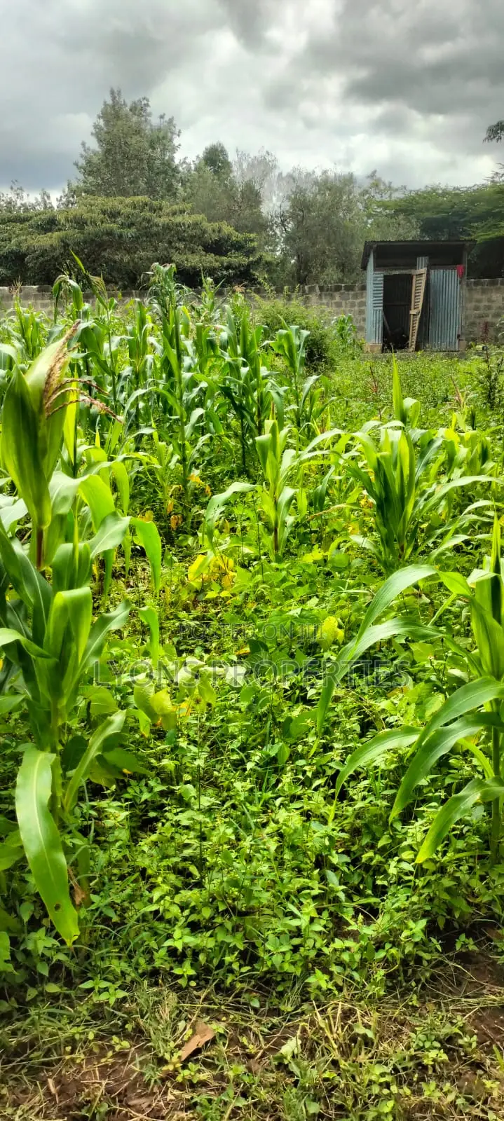 2.5 Aacre Land for Sale in Nkoroi
