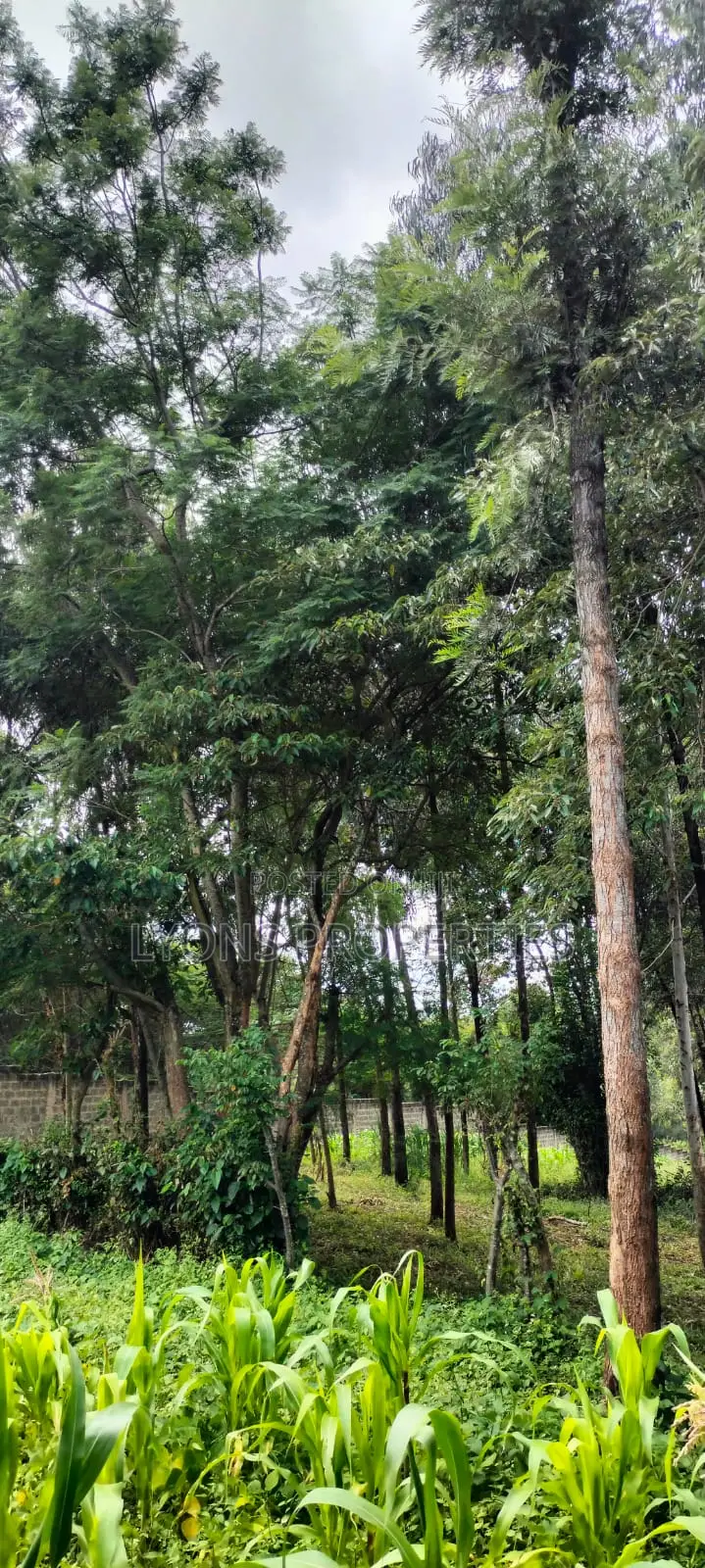 2.5 Aacre Land for Sale in Nkoroi