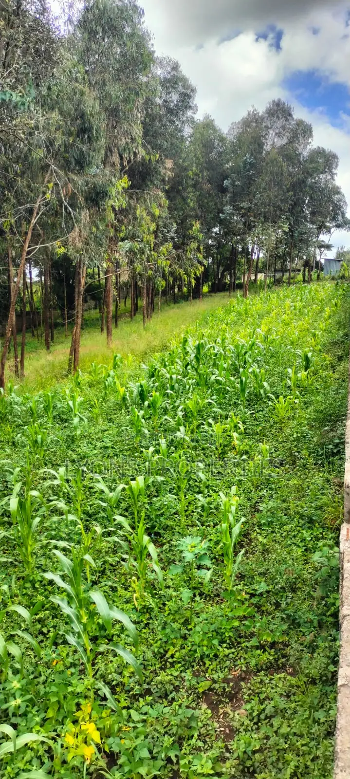 2.5 Aacre Land for Sale in Nkoroi