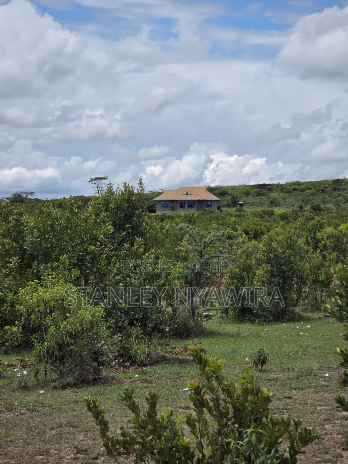 16 Acrea Nanyuki Gobit Nairutia Tarmac Road in Nanyuki