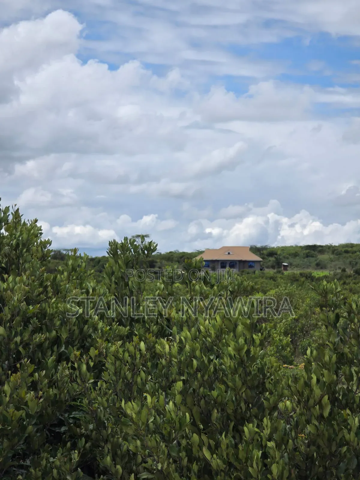 16 Acrea Nanyuki Gobit Nairutia Tarmac Road in Nanyuki