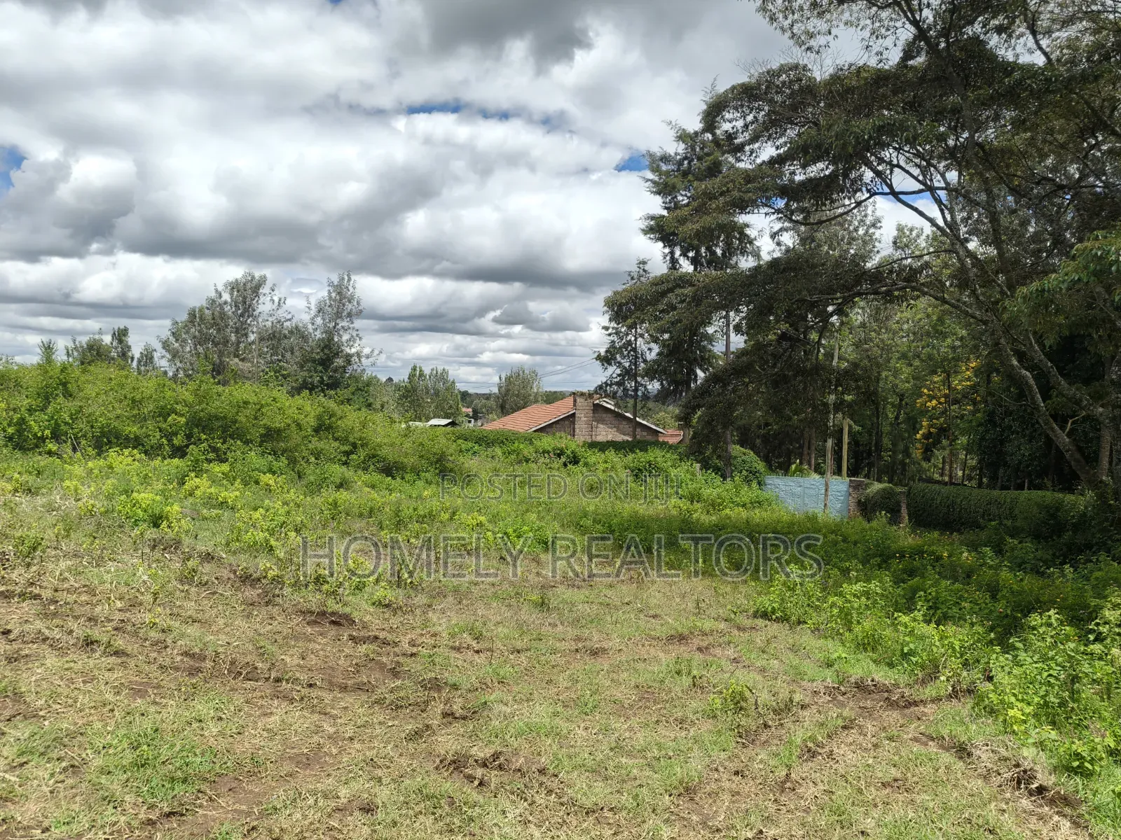 Half Acre Piece of Land for Sale in Ngong, Olkeri. Red Soil Plot in Ol Keri
