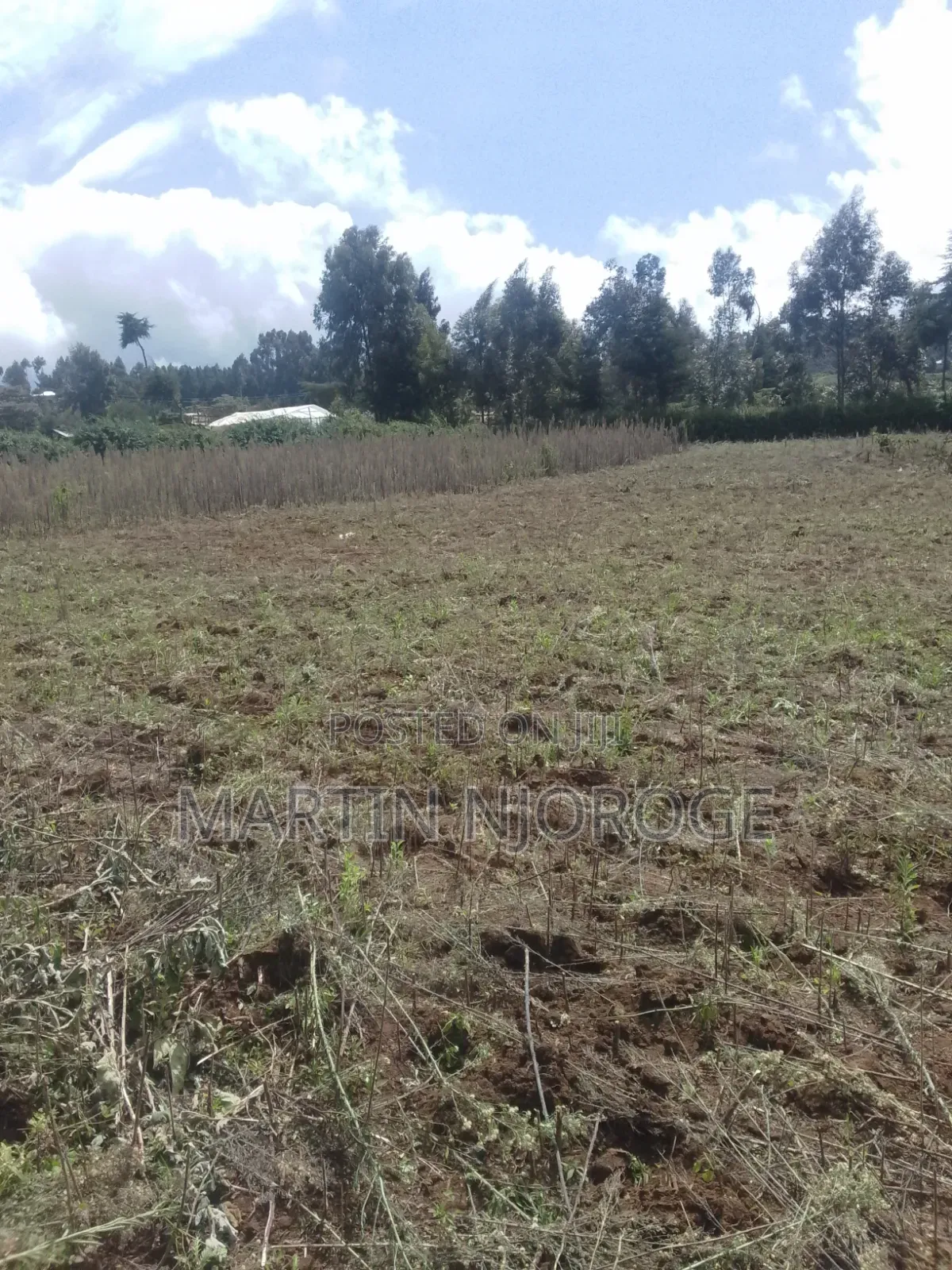 50 by 100 Gitithia, Uplands in Lari/Kirenga