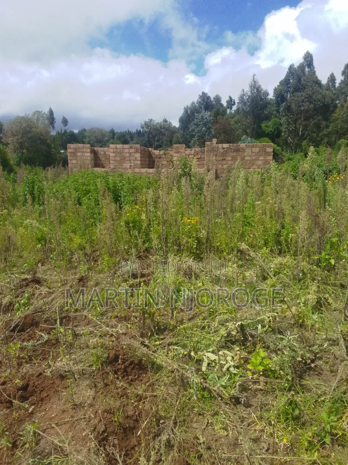 50 by 100 Gitithia, Uplands in Lari/Kirenga