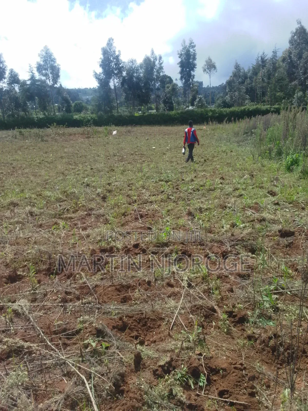 50 by 100 Gitithia, Uplands in Lari/Kirenga