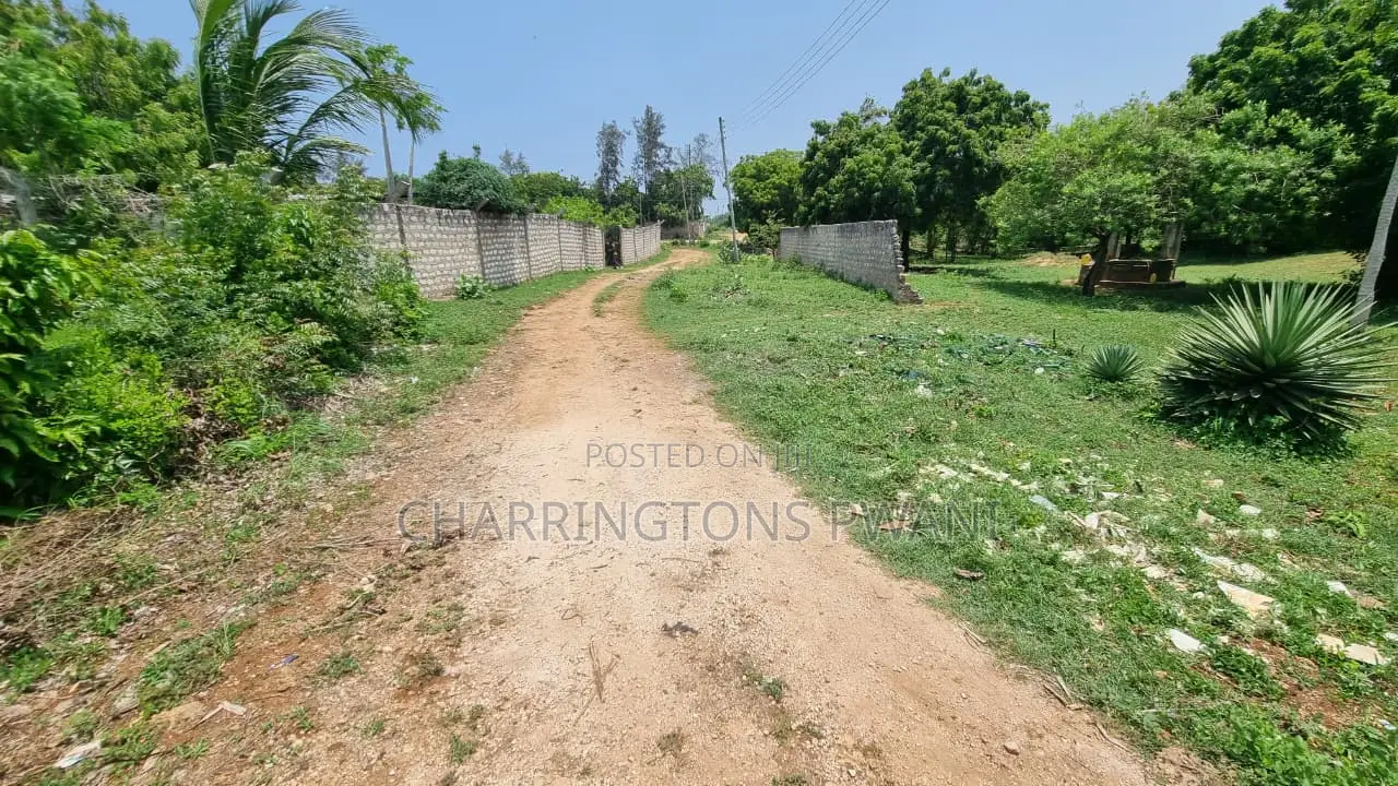 1⁄4 Acre Plot | 5-Min Walk to Beach | 4th Row Diani | Kshs. 5m in Diani