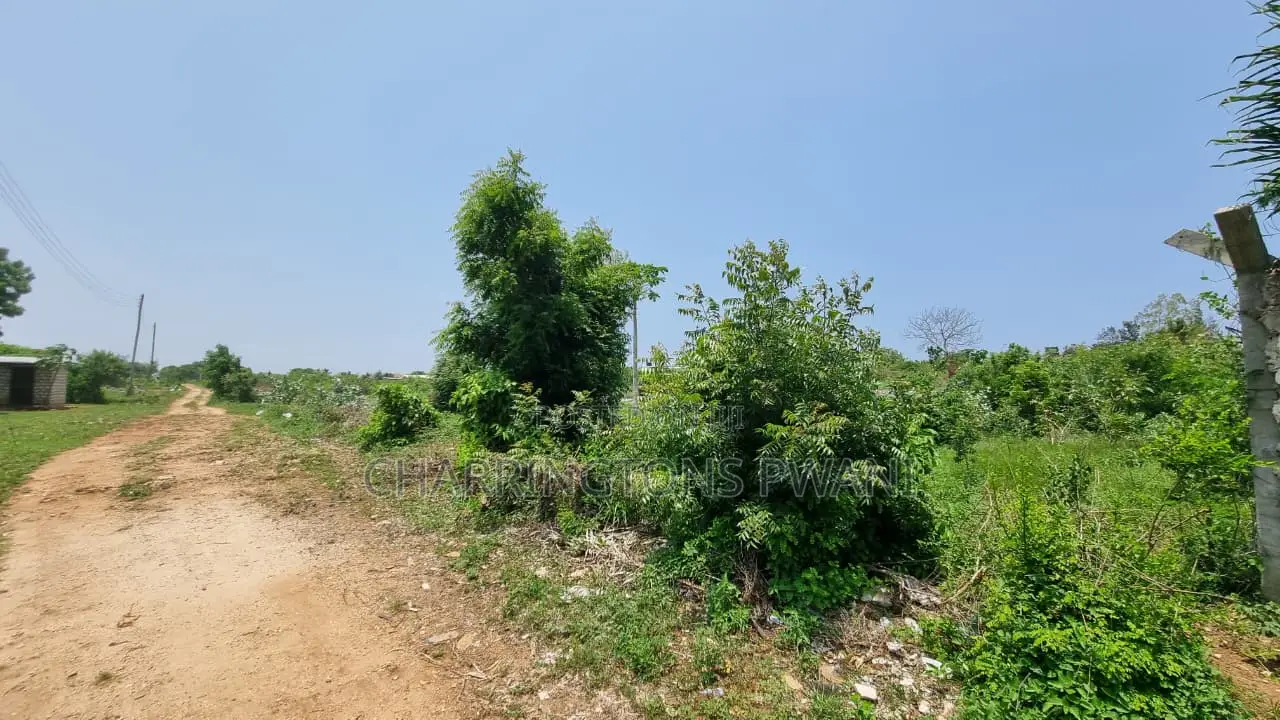 1⁄4 Acre Plot | 5-Min Walk to Beach | 4th Row Diani | Kshs. 5m in Diani