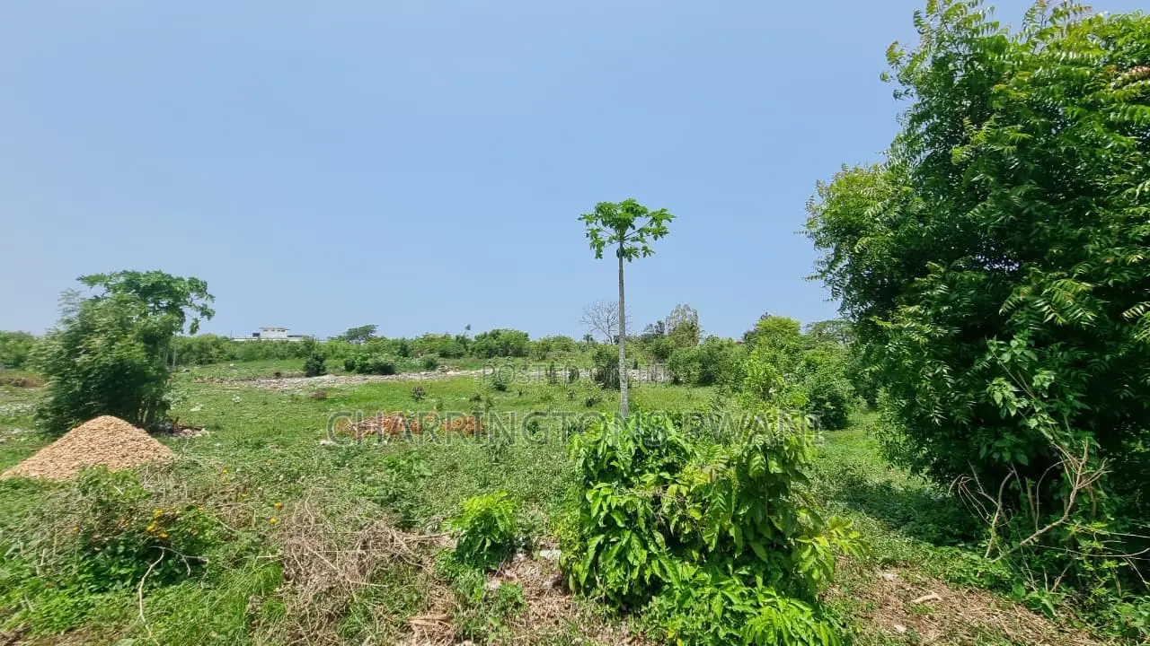 1⁄4 Acre Plot | 5-Min Walk to Beach | 4th Row Diani | Kshs. 5m in Diani