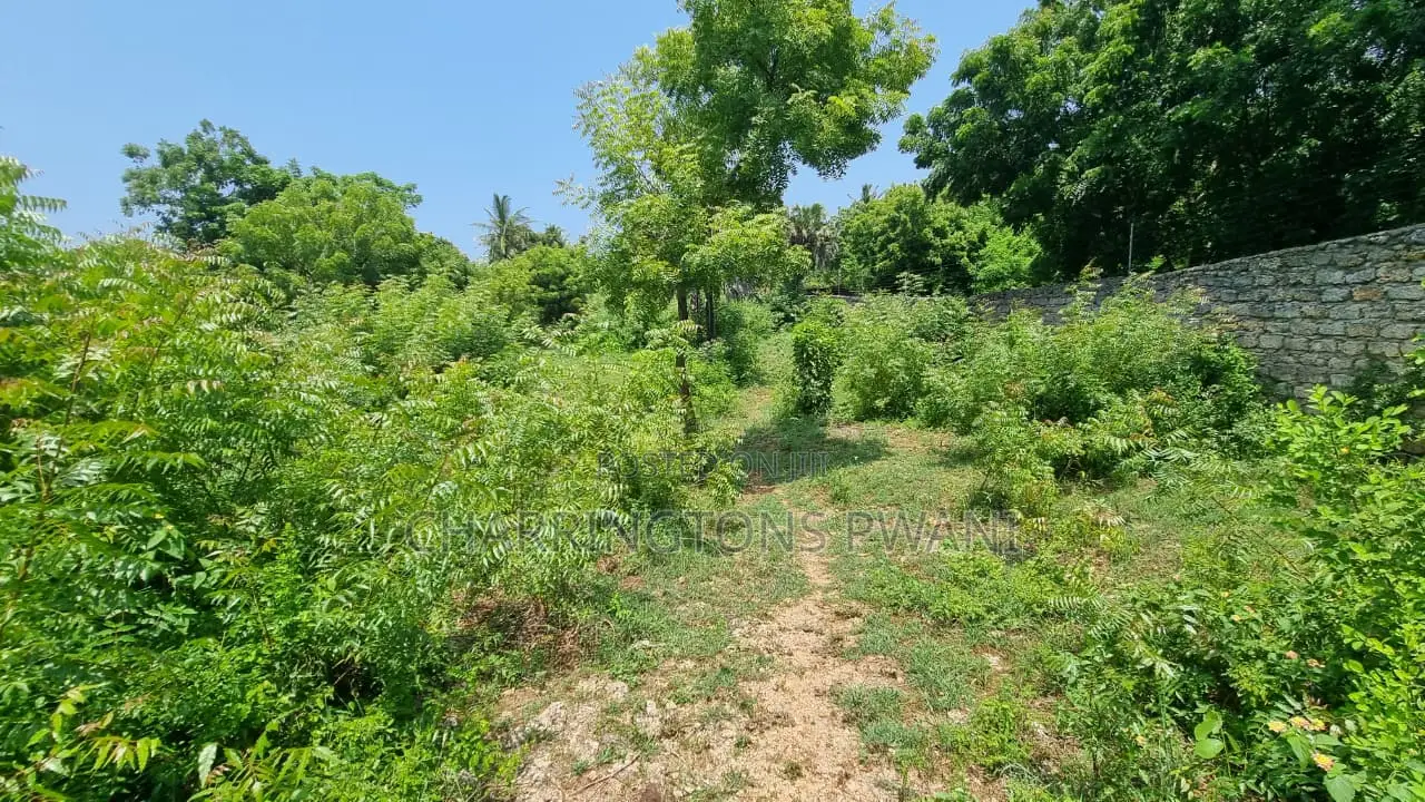 1 Acre Plot | 3rd Row Diani | Perimeter Wall | Kshs. 25m in Diani
