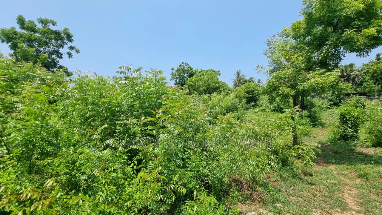 1 Acre Plot | 3rd Row Diani | Perimeter Wall | Kshs. 25m in Diani