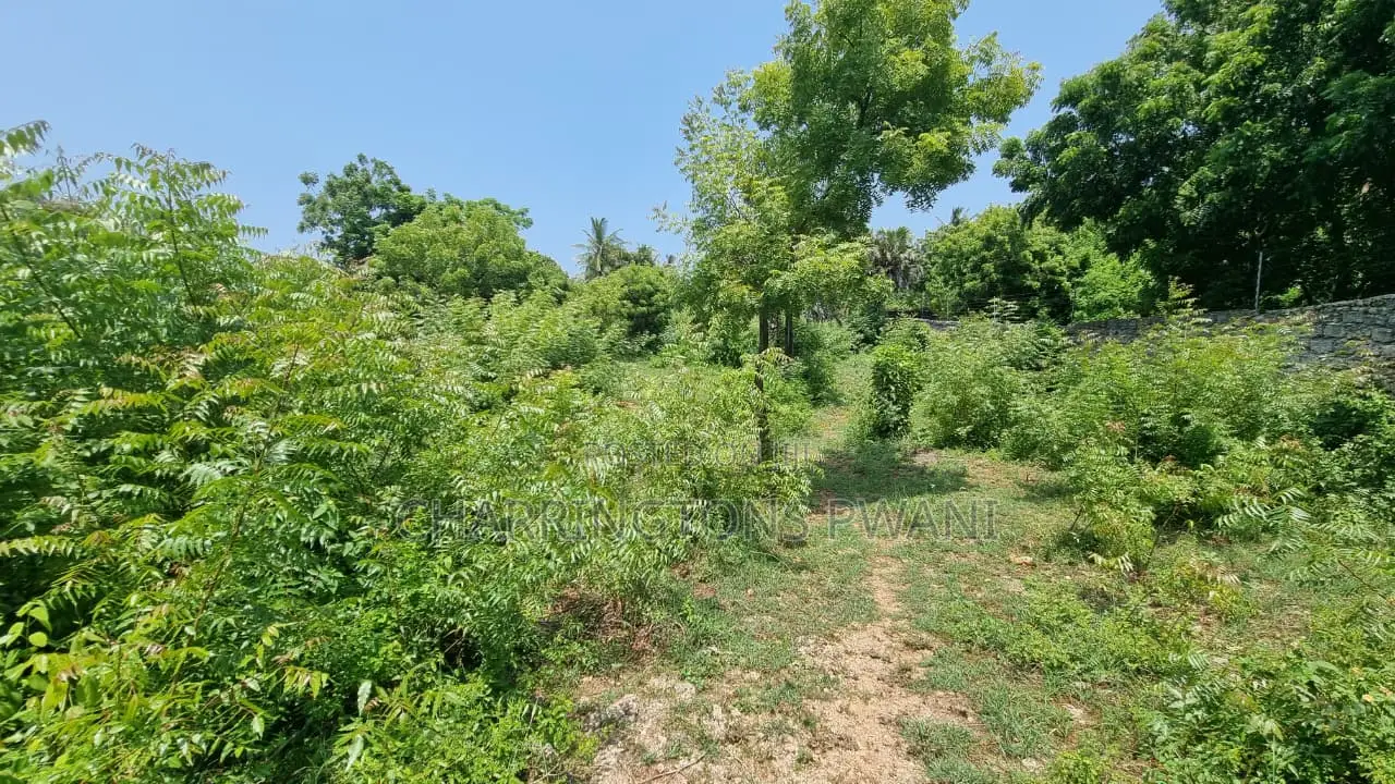 1 Acre Plot | 3rd Row Diani | Perimeter Wall | Kshs. 25m in Diani