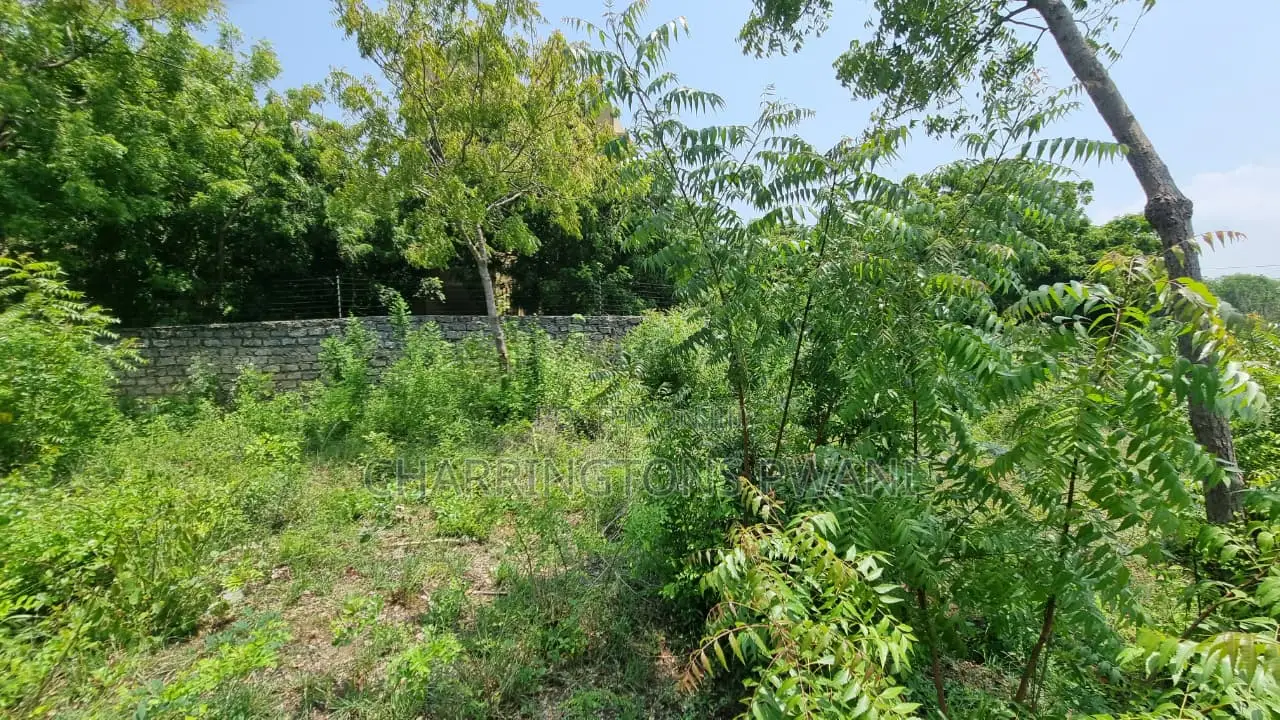 1 Acre Plot | 3rd Row Diani | Perimeter Wall | Kshs. 25m in Diani
