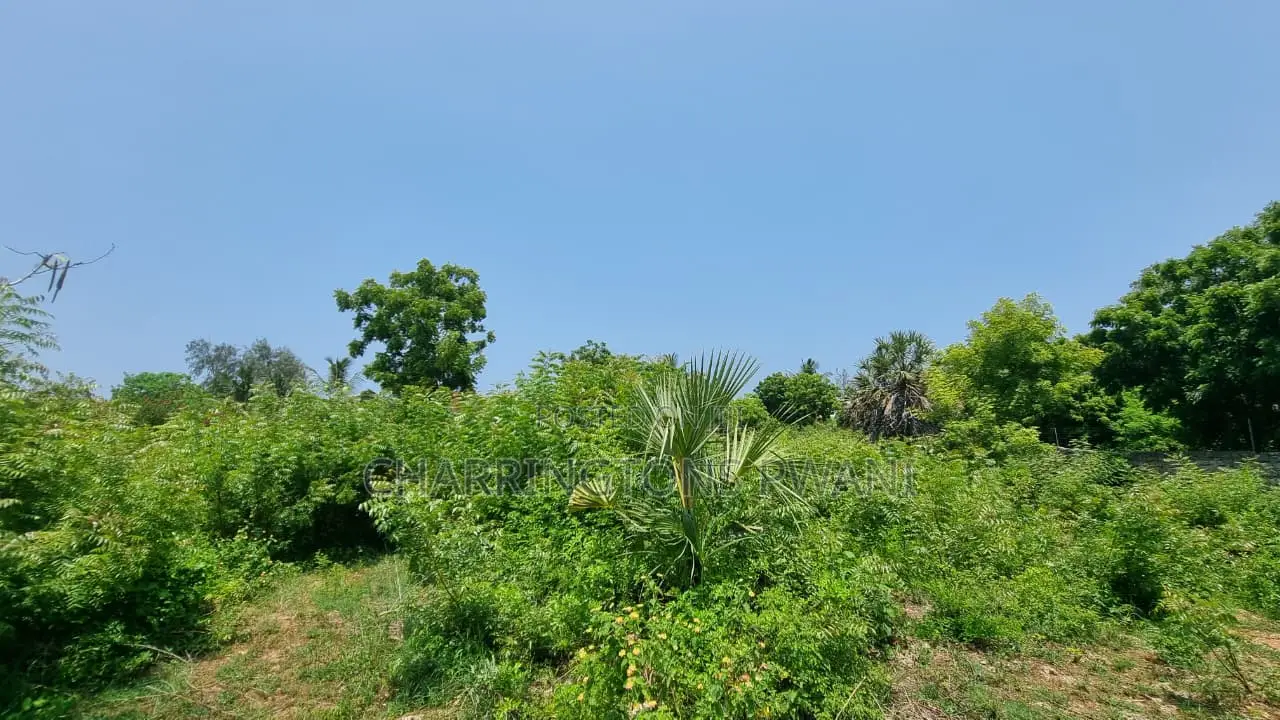 1 Acre Plot | 3rd Row Diani | Perimeter Wall | Kshs. 25m in Diani