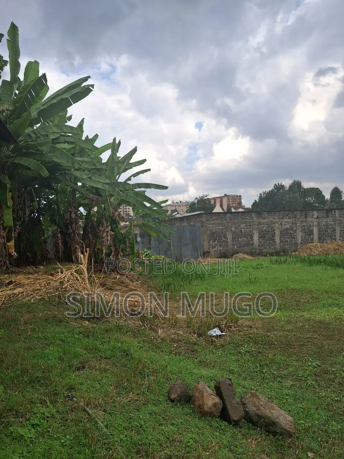 Safaripark Usiu Rd Off Thika Rd Commercial Adjoined 1/2ac and 3/4 Acre in Roysambu