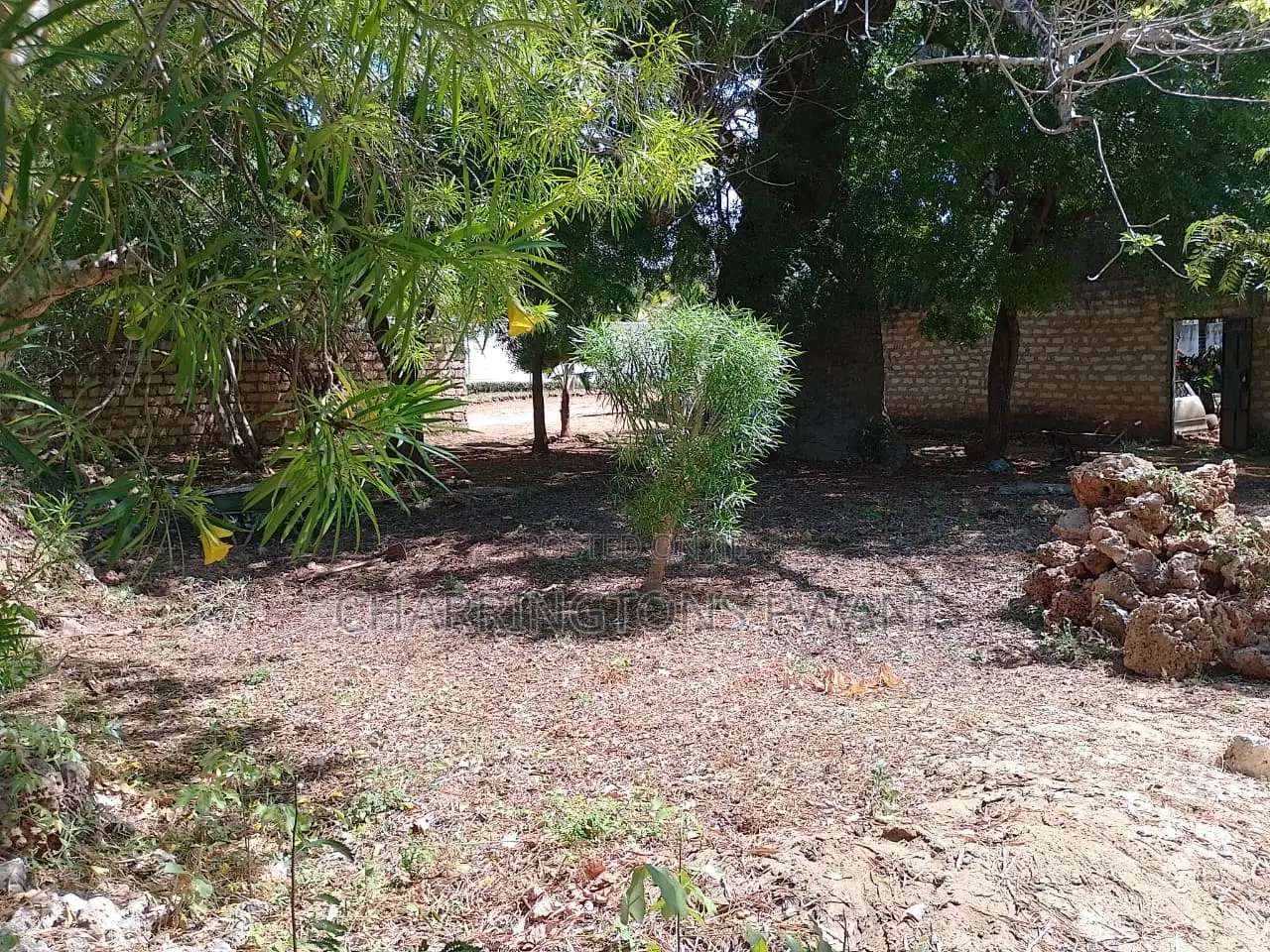 1/8 Acre Plot | Mature Baobab | Road Frontage | 2km to Beach | Diani in Diani