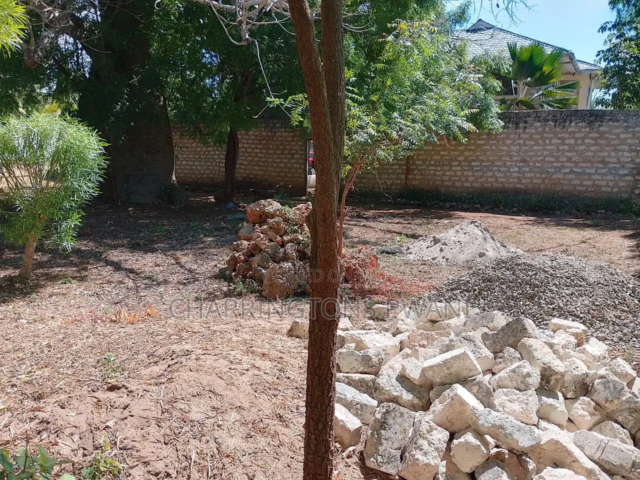 1/8 Acre Plot | Mature Baobab | Road Frontage | 2km to Beach | Diani in Diani