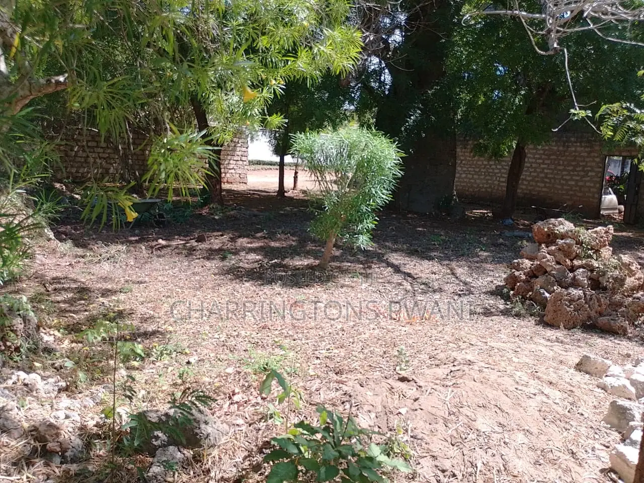 1/8 Acre Plot | Mature Baobab | Road Frontage | 2km to Beach | Diani in Diani