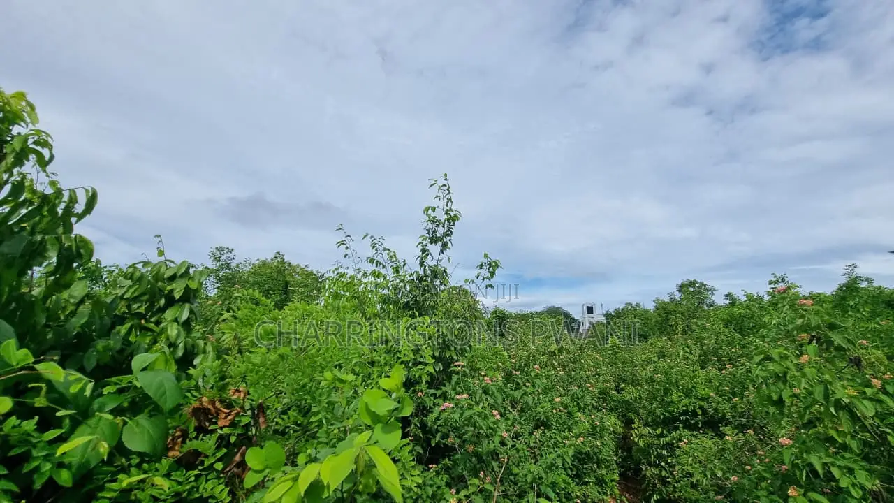 1⁄2 Acre Plot | 3rd Row Diani | Mature Vegetation | 6 Mins to Beach in Diani