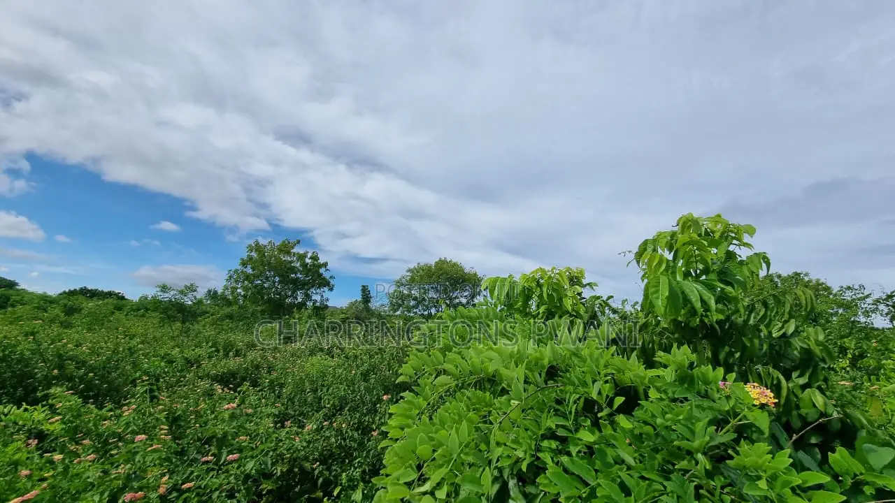 1⁄2 Acre Plot | 3rd Row Diani | Mature Vegetation | 6 Mins to Beach in Diani