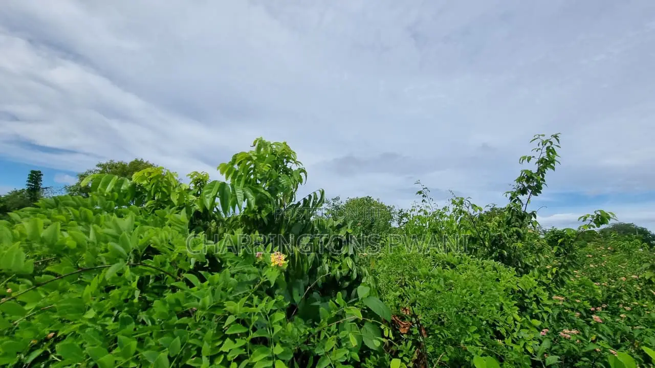 1⁄2 Acre Plot | 3rd Row Diani | Mature Vegetation | 6 Mins to Beach in Diani