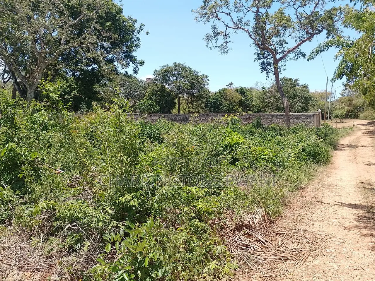 1⁄2 Acre Plot| 1st Line 4th Row| Near Manyatta| Cleared Ready|Diani in Diani