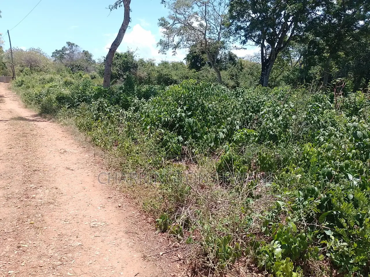 1⁄2 Acre Plot| 1st Line 4th Row| Near Manyatta| Cleared Ready|Diani in Diani