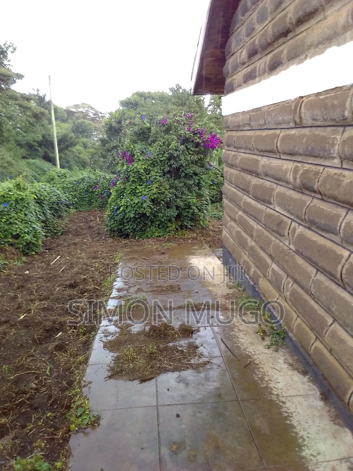 6bdrm Bungalow in Milimani Estate for sale in Milimani Estate