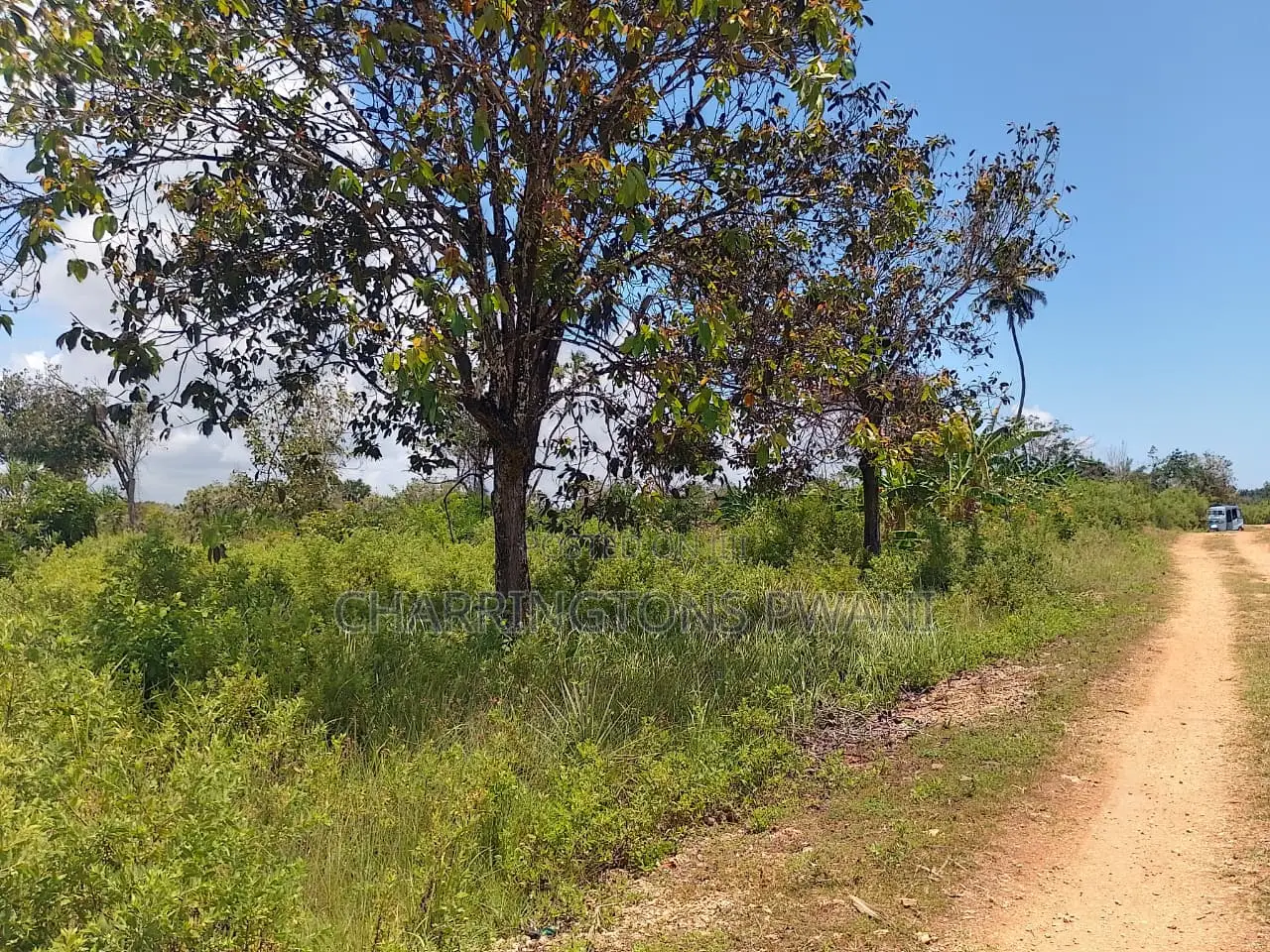 14 Acres | Fertile Green | 4th Row Galu-Kinondo | Road Access in Diani