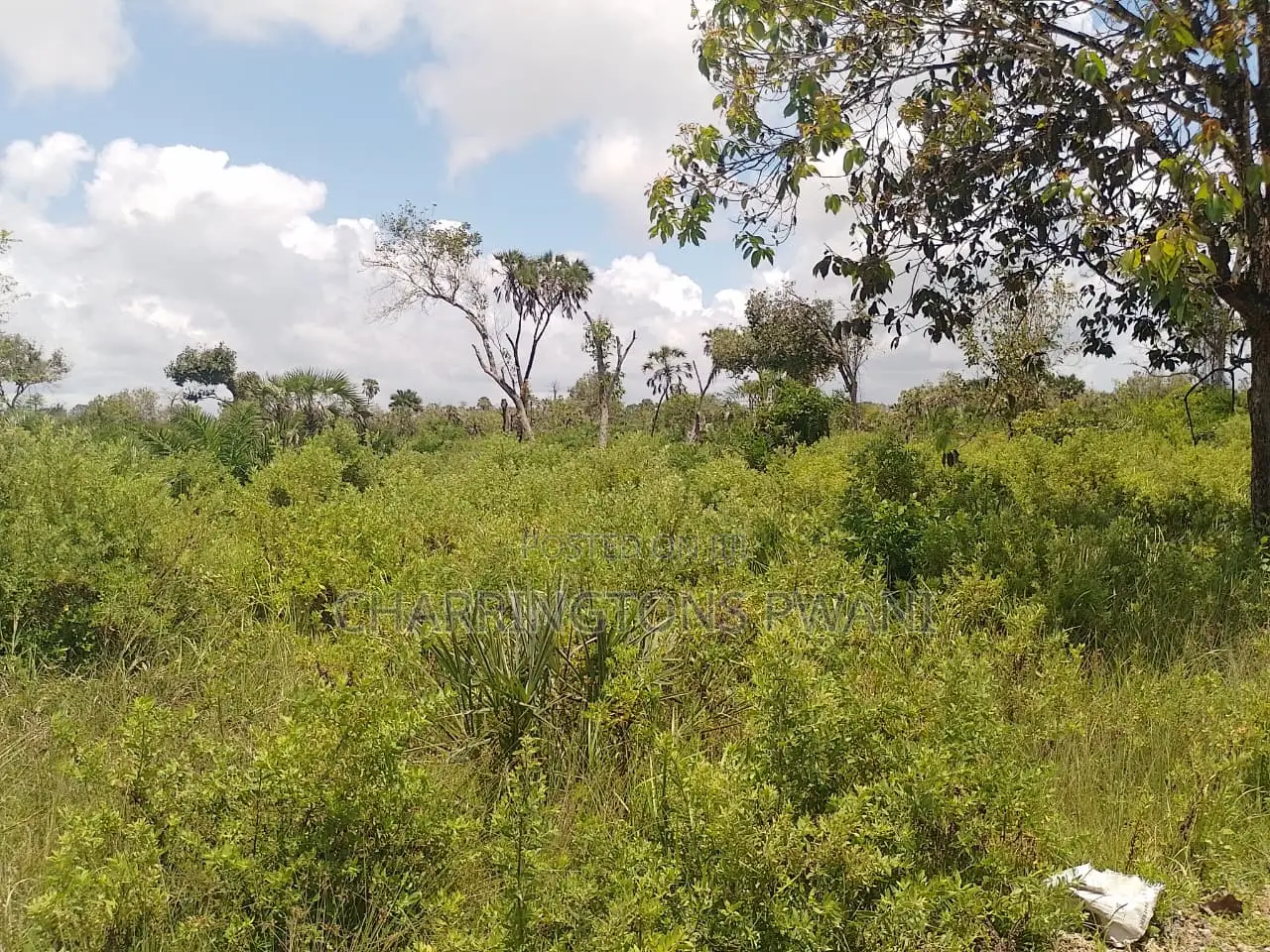 14 Acres | Fertile Green | 4th Row Galu-Kinondo | Road Access in Diani