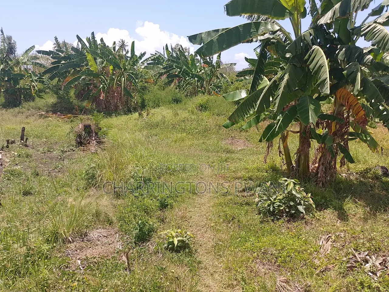 14 Acres | Fertile Green | 4th Row Galu-Kinondo | Road Access in Diani