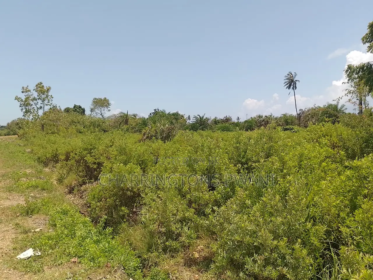 1.25 Acre Corner Plot | 3rd Row Galu-Kinondo | 3 Mins to Beach in Diani