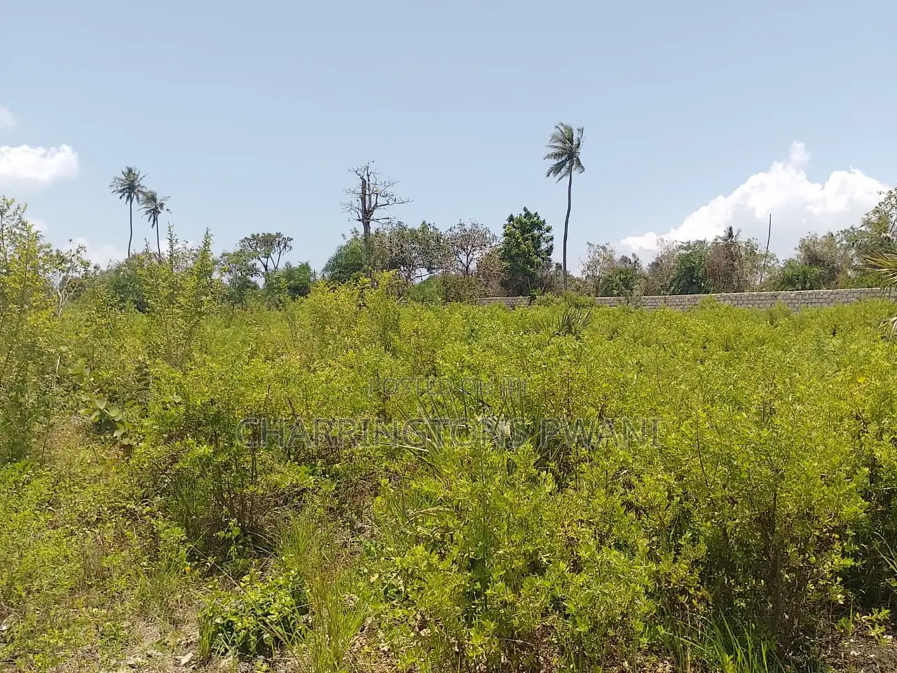 1.25 Acre Corner Plot | 3rd Row Galu-Kinondo | 3 Mins to Beach in Diani