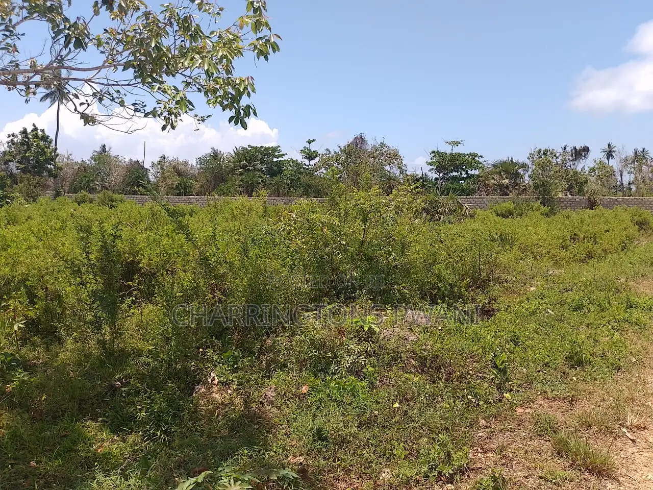 1.25 Acre Corner Plot | 3rd Row Galu-Kinondo | 3 Mins to Beach in Diani