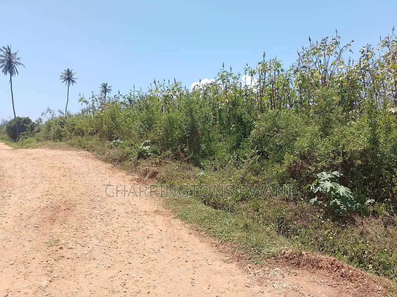 1.25 Acre Corner Plot | 3rd Row Galu-Kinondo | 3 Mins to Beach in Diani