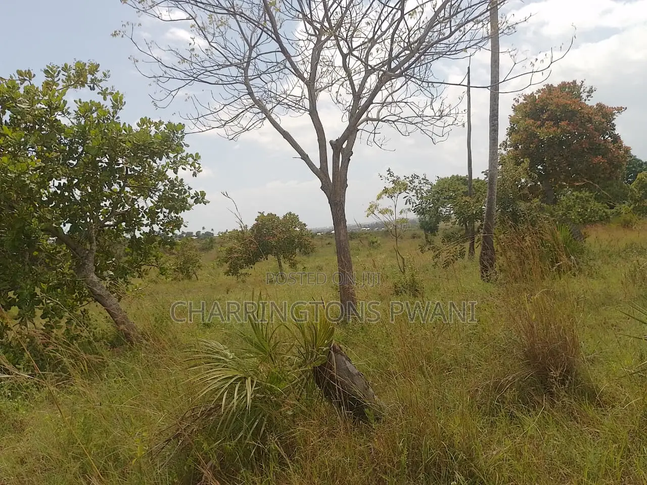 1 Acre Plot| Ocean Mombasa Skyline Views|Gentle Slope| Dongo Kundu in Kilindini