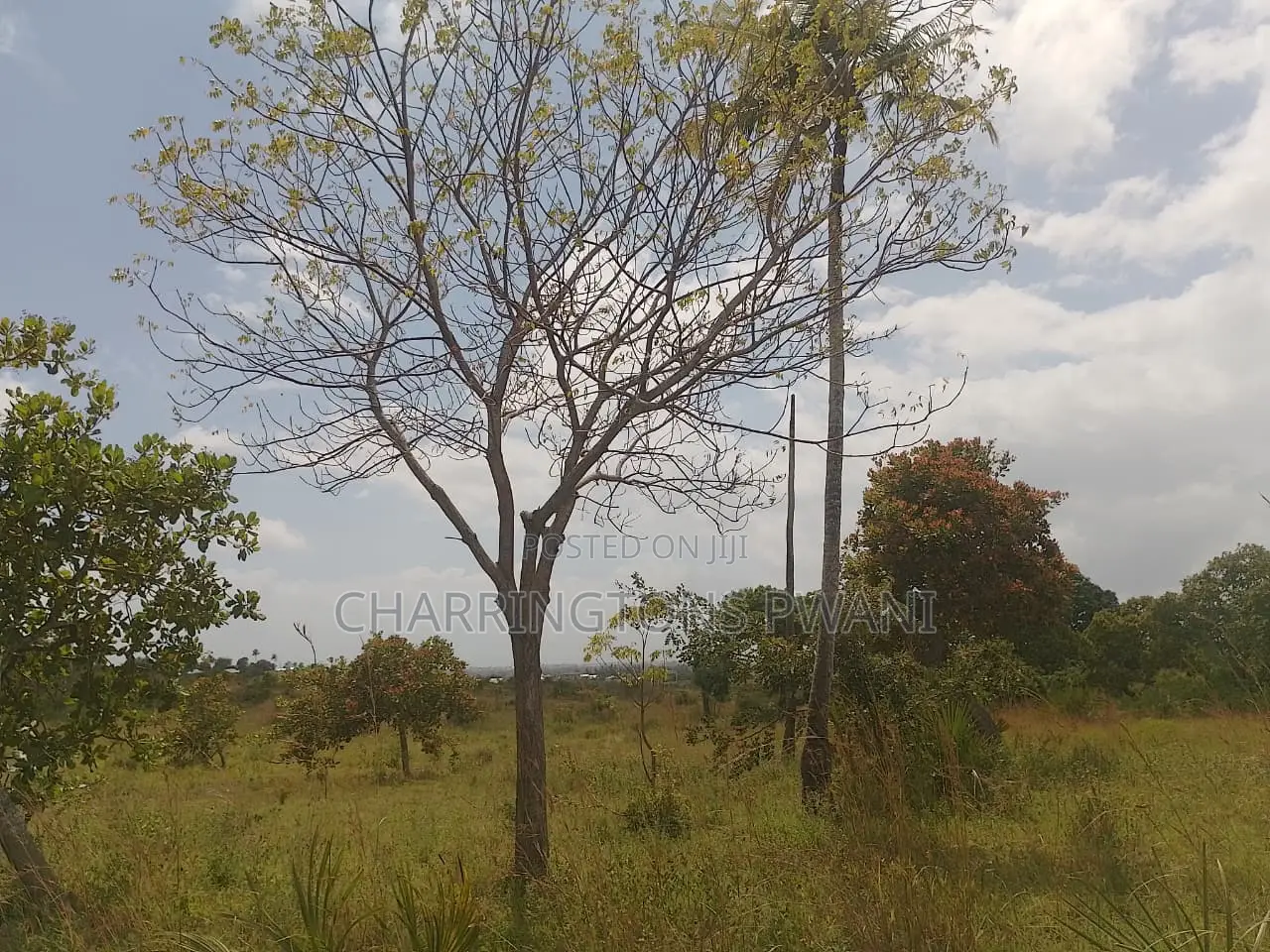 1 Acre Plot| Ocean Mombasa Skyline Views|Gentle Slope| Dongo Kundu in Kilindini