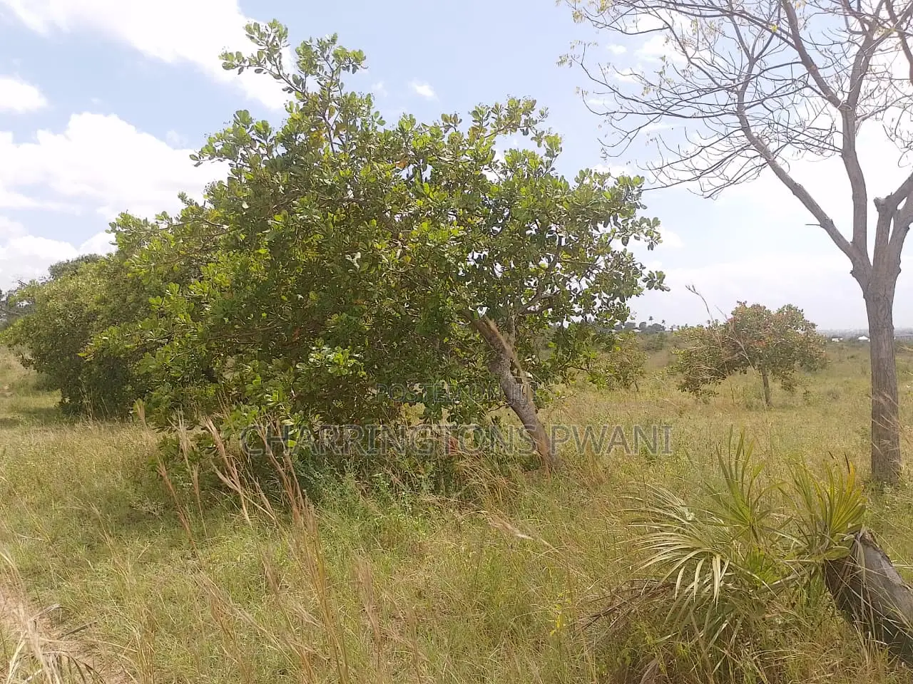 1 Acre Plot| Ocean Mombasa Skyline Views|Gentle Slope| Dongo Kundu in Kilindini