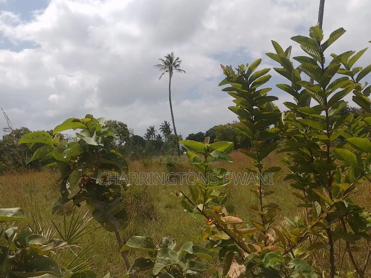 1 Acre Plot| Ocean Mombasa Skyline Views|Gentle Slope| Dongo Kundu in Kilindini