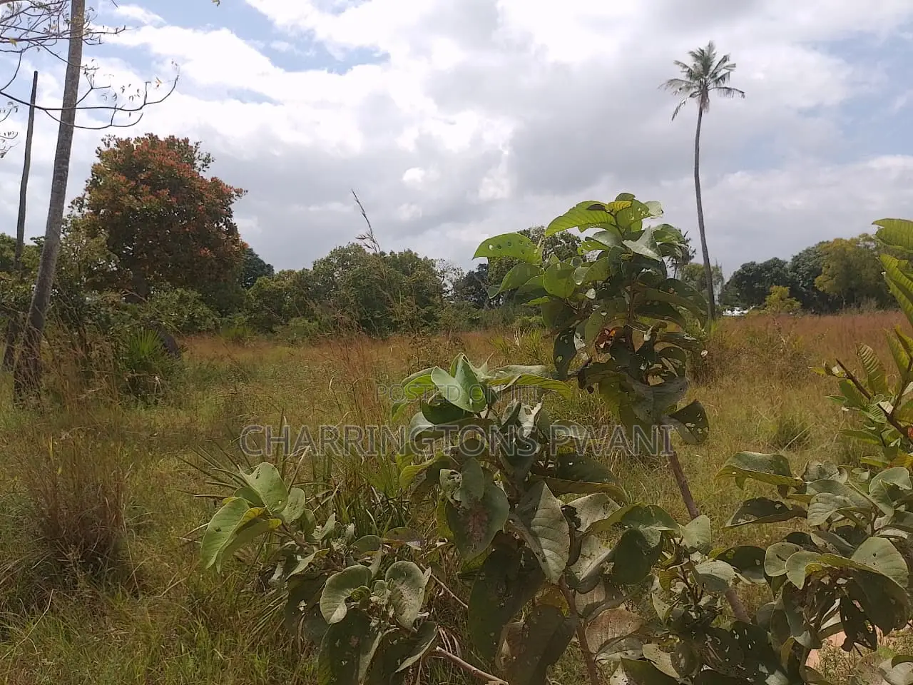 1 Acre Plot| Ocean Mombasa Skyline Views|Gentle Slope| Dongo Kundu in Kilindini