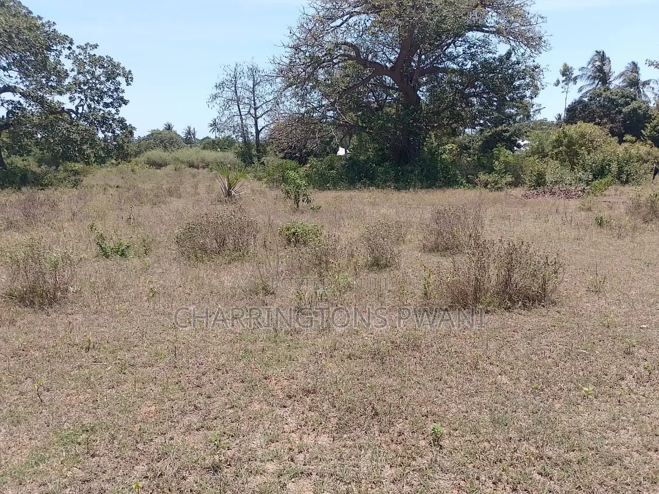 1.75 Acres| Flat| Water Electricity| Dongo Kundu Bypass| Ng'ombeni in Kilindini