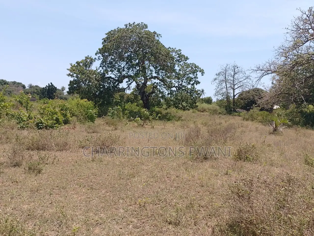 1.75 Acres| Flat| Water Electricity| Dongo Kundu Bypass| Ng'ombeni in Kilindini