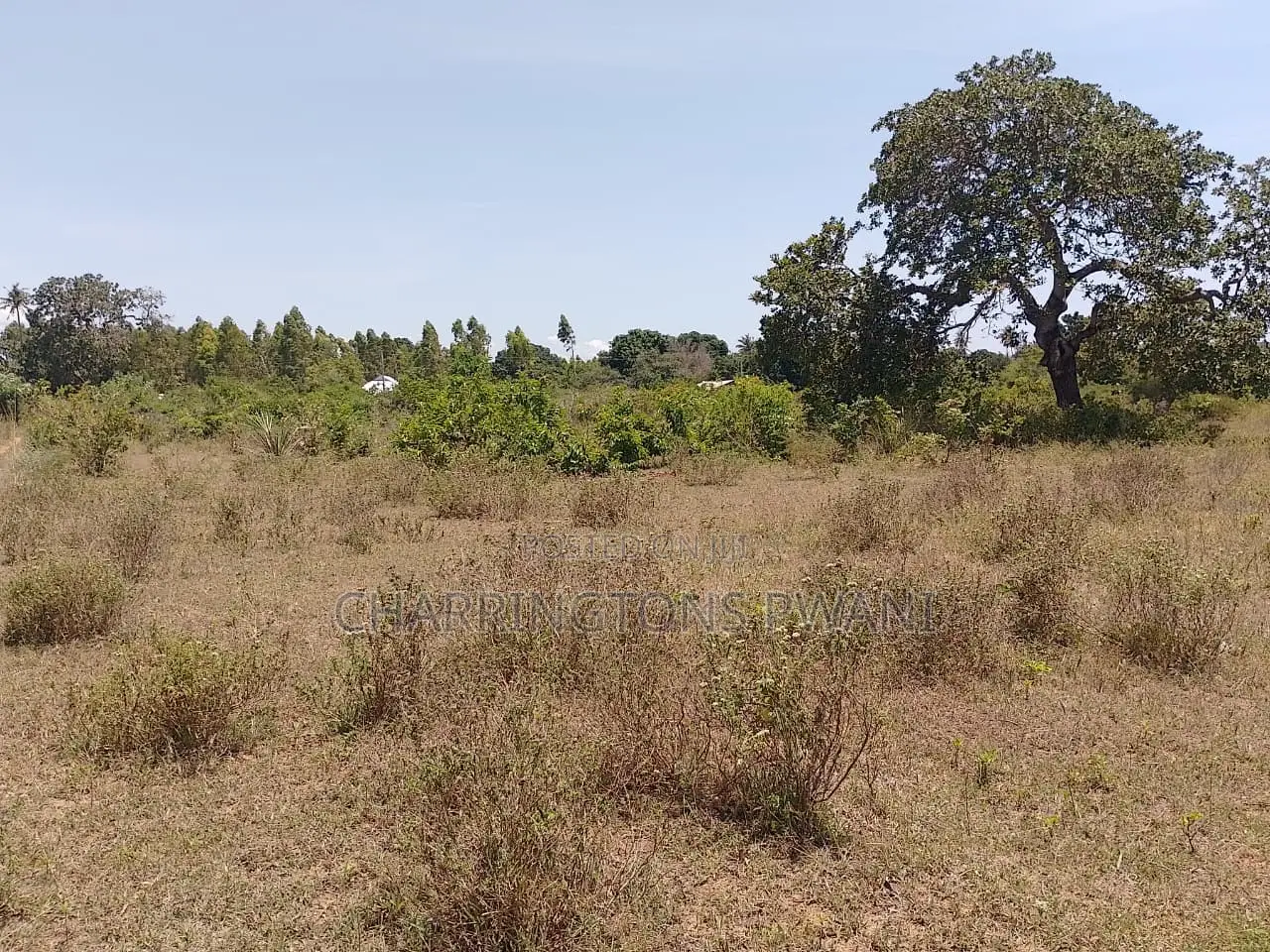 1.75 Acres| Flat| Water Electricity| Dongo Kundu Bypass| Ng'ombeni in Kilindini