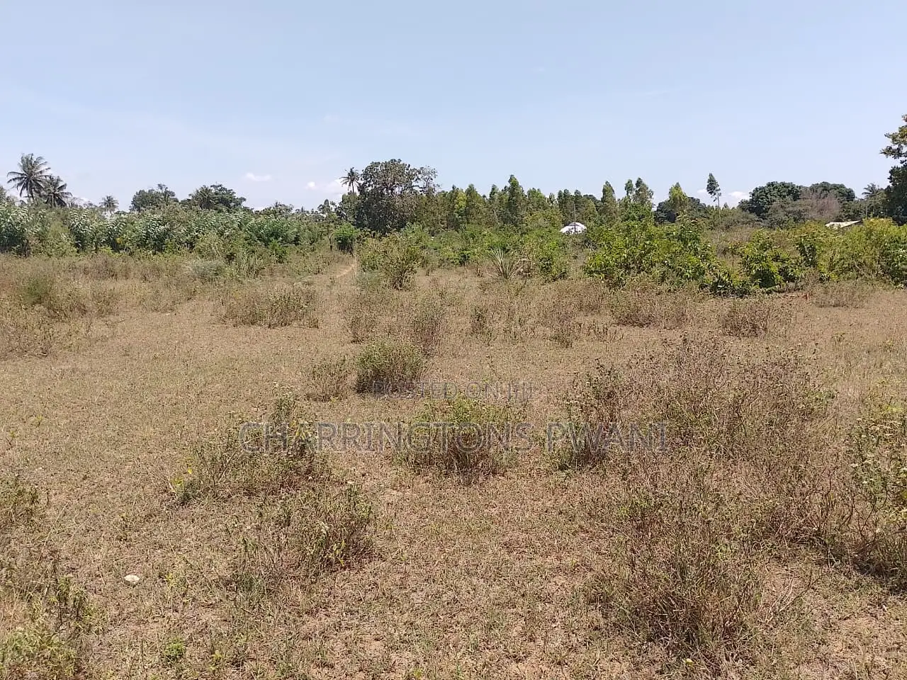 1.75 Acres| Flat| Water Electricity| Dongo Kundu Bypass| Ng'ombeni in Kilindini