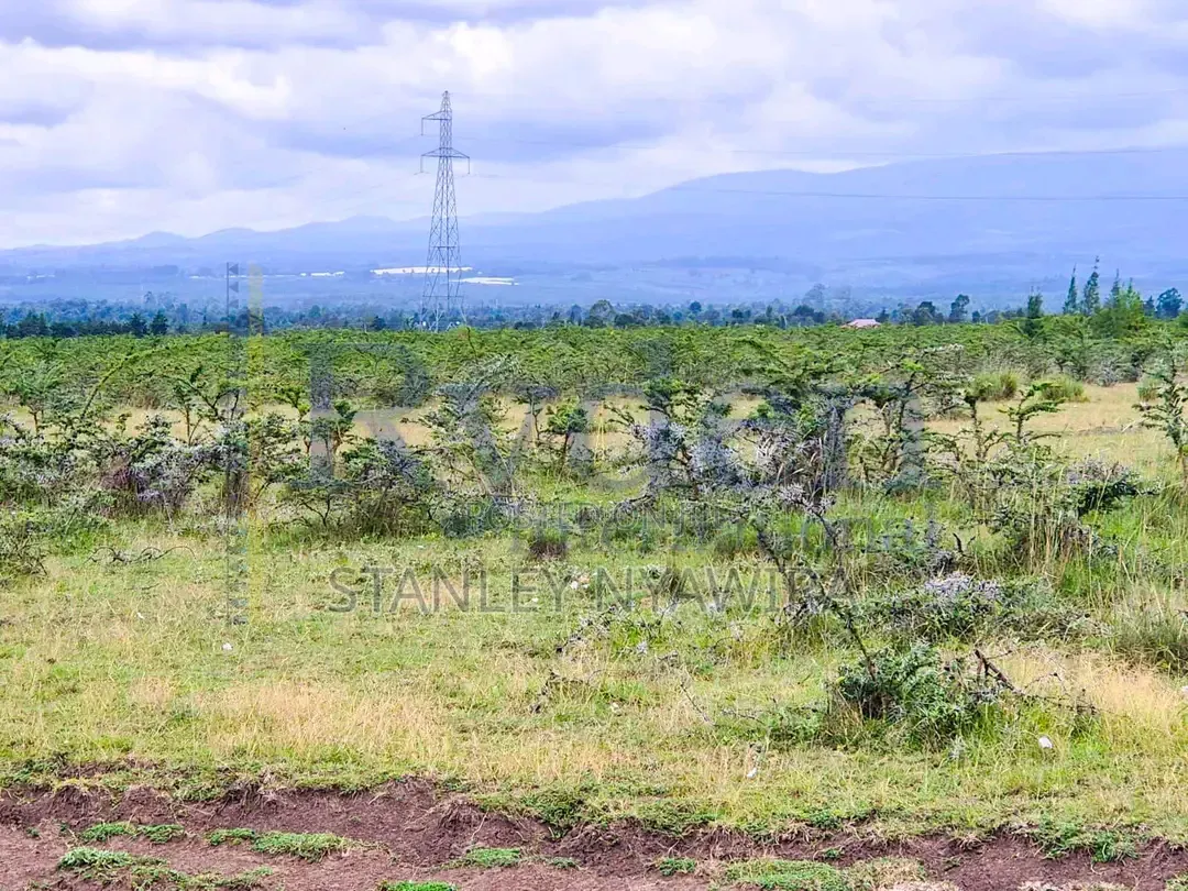 4 Acrea Nanyuki Ereri Opp Olopjeta Gate in Nanyuki